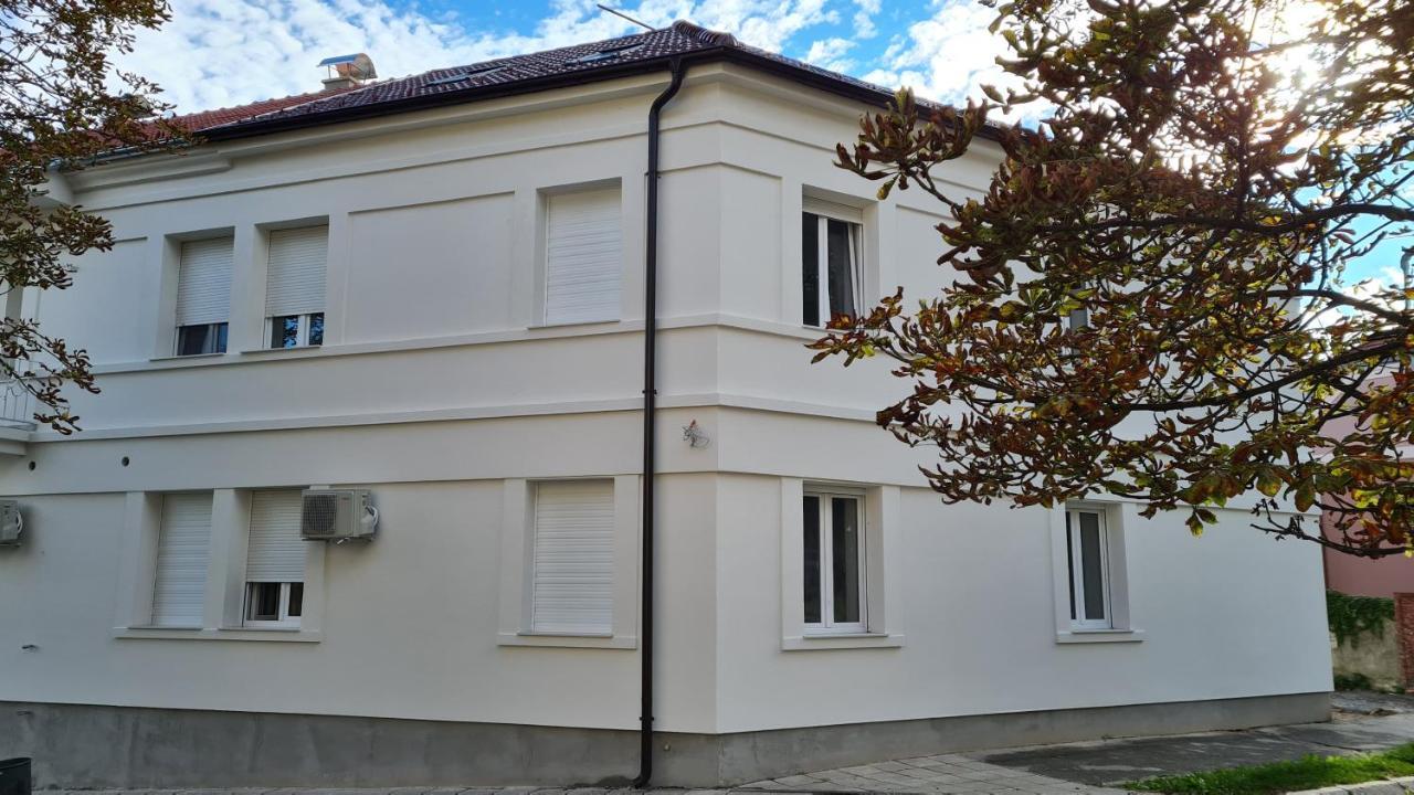 Ginko Sobe Daruvar - Mogucnost Dorucka Dış mekan fotoğraf